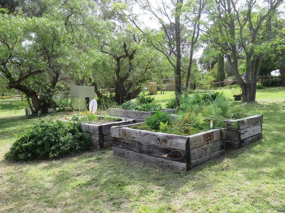 Raised vegetable beds beside Sloans Cottage in Leda, Western Australia