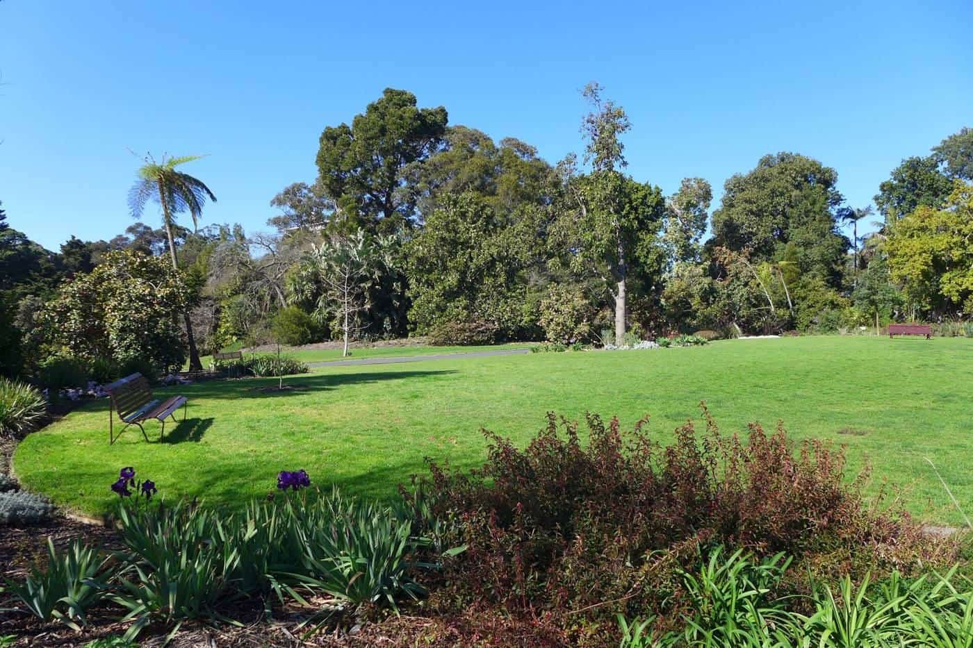 The broad Southern Lawn at the Royal Botanic Gardens Melbourne
