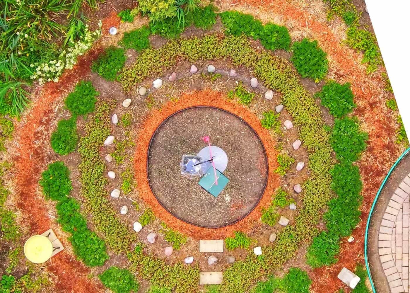 A newly laid out garden bed with fresh mulch and young plants