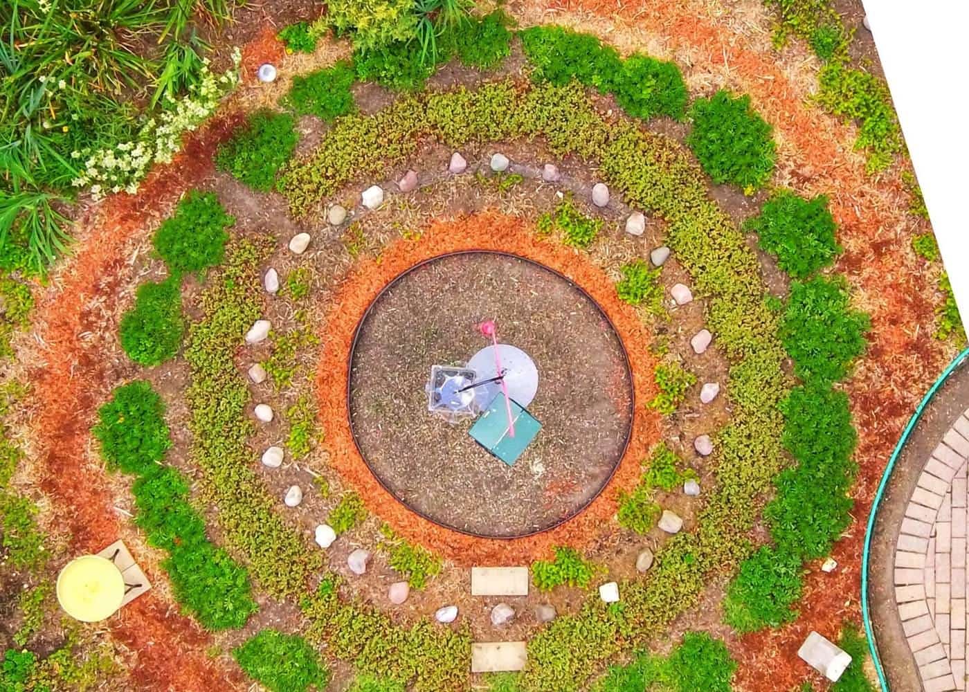 A newly laid out garden bed with fresh mulch and young plants