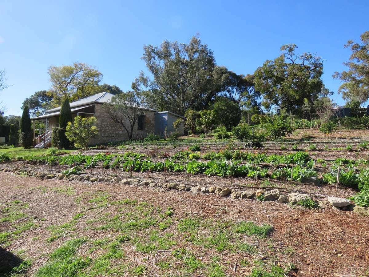 Vegetable beds in front of Sloans Cottage at Leda, Western Australia