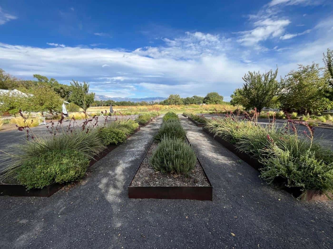 A kitchen garden with herbs and vegetables in neat beds