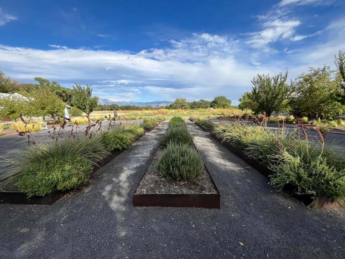 A kitchen garden with herbs and vegetables in neat beds